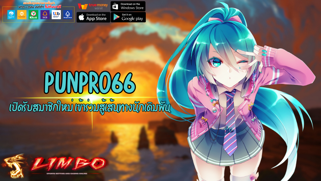 PUNPRO66